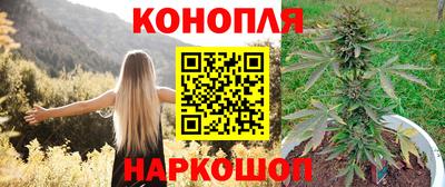 mix Кингисепп