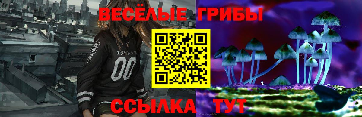 Краснотурьинск  Псилоцибиновые грибы MAGIC MUSHROOMS  Вход с VPN  Галлюциногенные грибы ЛСД 