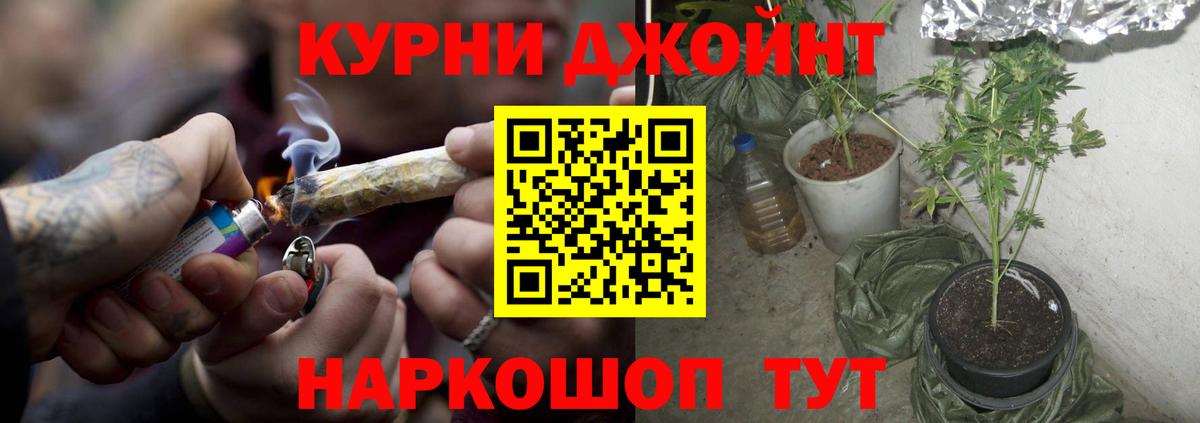 Бошки Шишки MAZAR Краснотурьинск